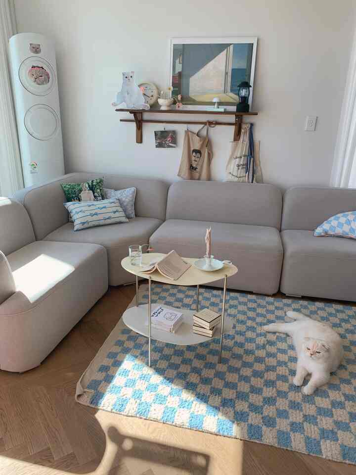 ナチュラルトーンのリビングルームに、ソファとチェック柄のラグが配置され、猫がくつろいでいる雰囲気のあるインテリア