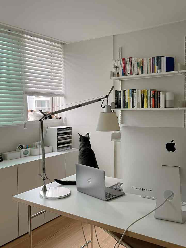 白とナチュラルトーンのホームオフィス空間、デスクにノートパソコンと2匹の猫がいる、すっきりとした印象的なインテリア