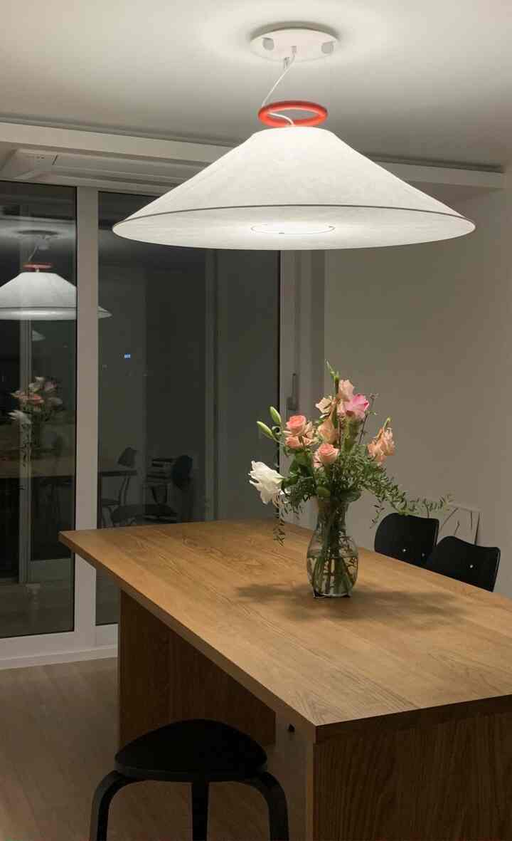 Natural-toned dining room featuring a wooden dining table and pendant light with cozy atmosphere