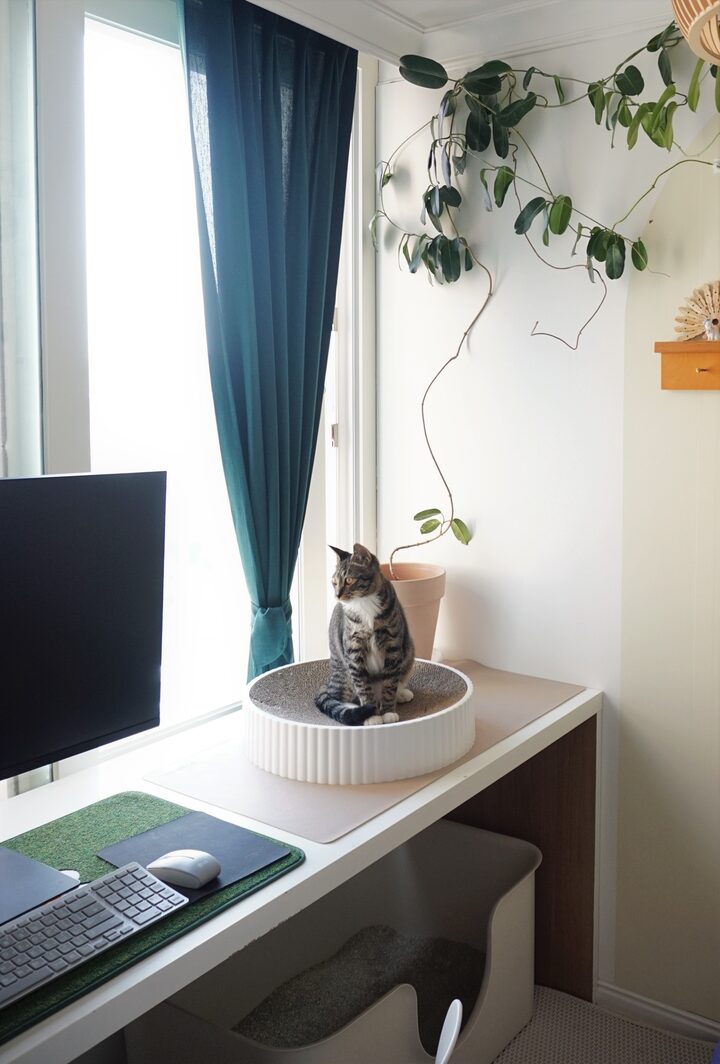 short form carousel card thumbnail