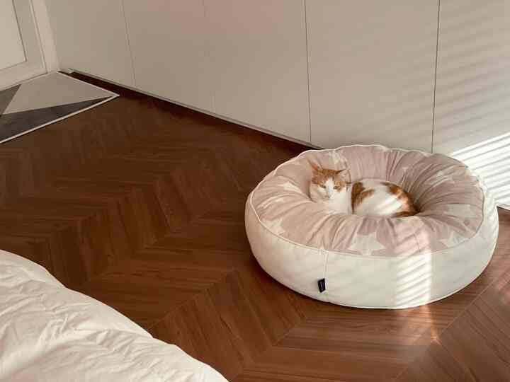 A cozy bedroom with warm brown wooden floors and white furnishings, featuring a cat resting comfortably on a pet bed