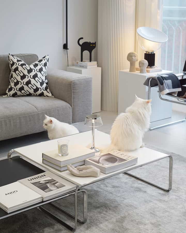 Gray and white toned living room featuring sofa and coffee table with two cats, modern and minimal atmosphere