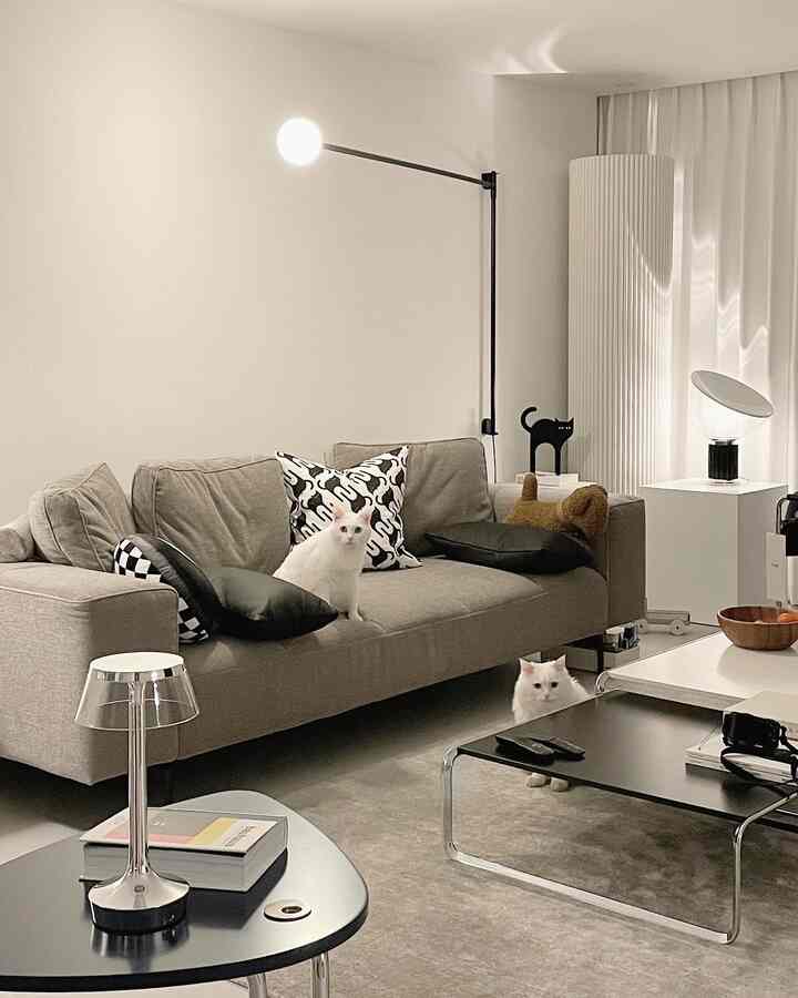 Gray-toned living room featuring modern sofa and table lamps, with two white cats creating a cozy atmosphere