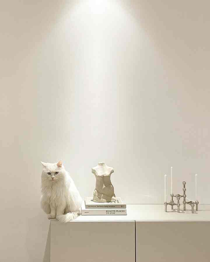 A simple white-toned space featuring a fluffy white cat, sculpture, and candles in a minimalistic interior
