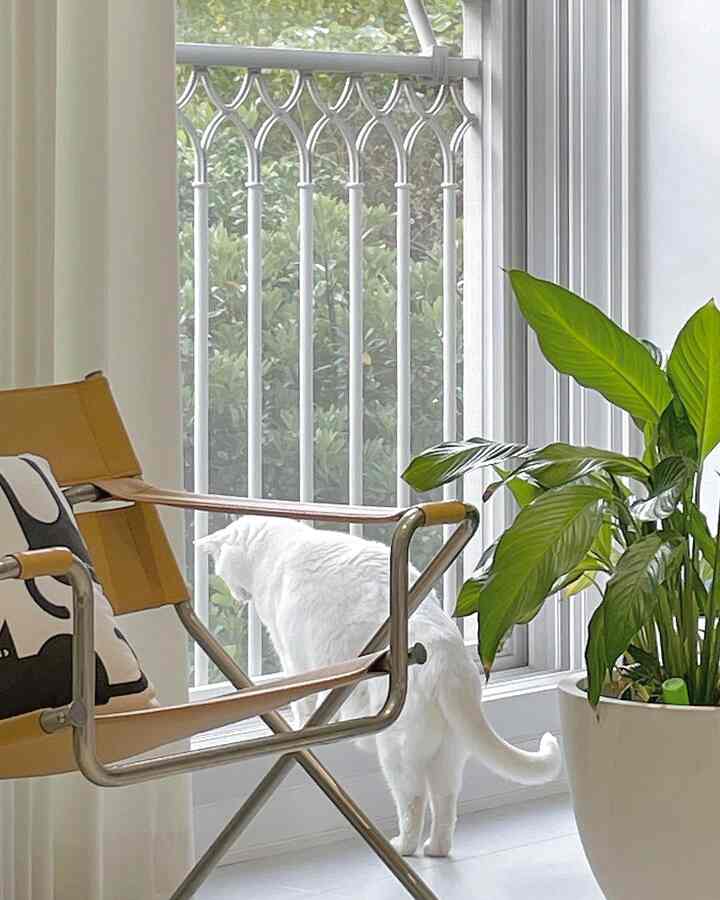 A white and brown-toned living room featuring an armchair and a plant, creating a minimal and modern atmosphere