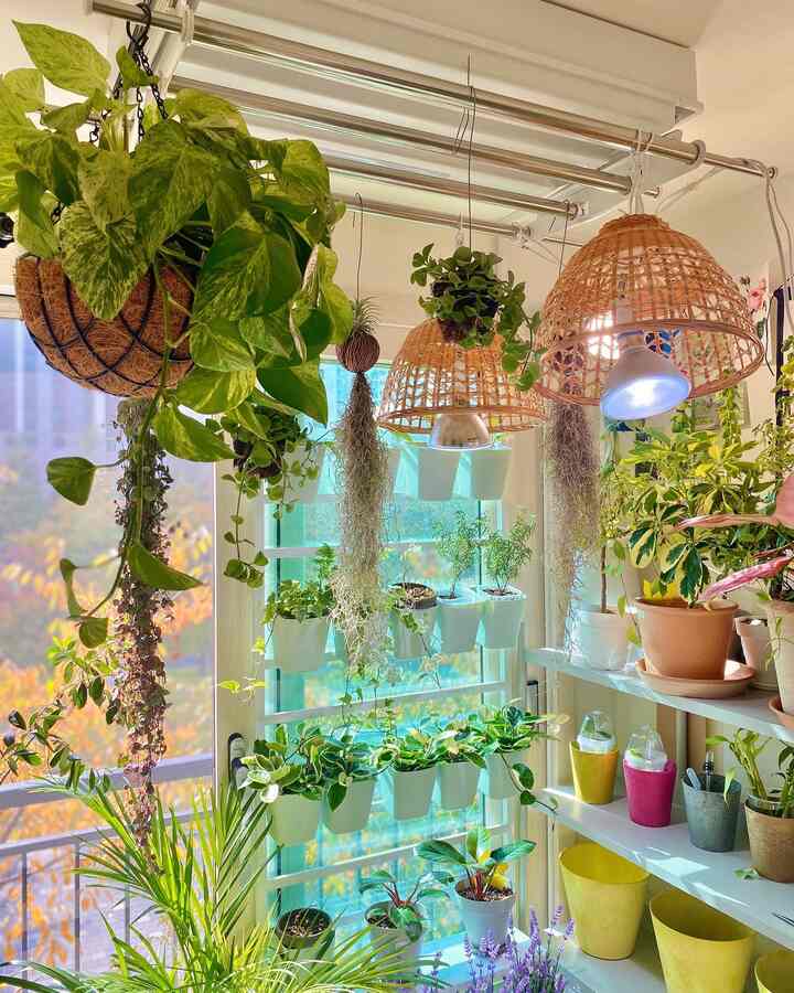 [Recommended refreshing items to brighten up your home in the cold winter]

🤍🤍🤍
Hello, Oh! Life
I'm Solum, the urban farmer and plant butler :)

Why is it so cold these days?
Winter is really scary.

By the way, these days, as I keep shrinking,
my heart also seems to shrink.

So this post is back with a list of recommended refreshing items to brighten up your home.