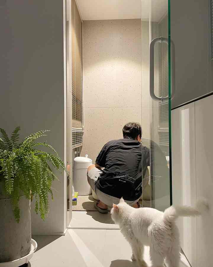 白と茶色の色調の室内、猫トイレと植物が置かれた清潔感のあるキッチンとリビングの隣接空間