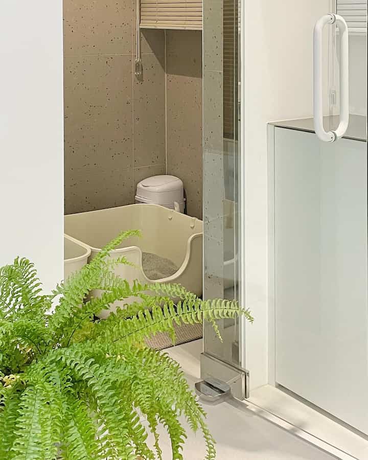 Bright white and green toned pantry space behind kitchen with glass door revealing neatly placed cat litter box in clean interior