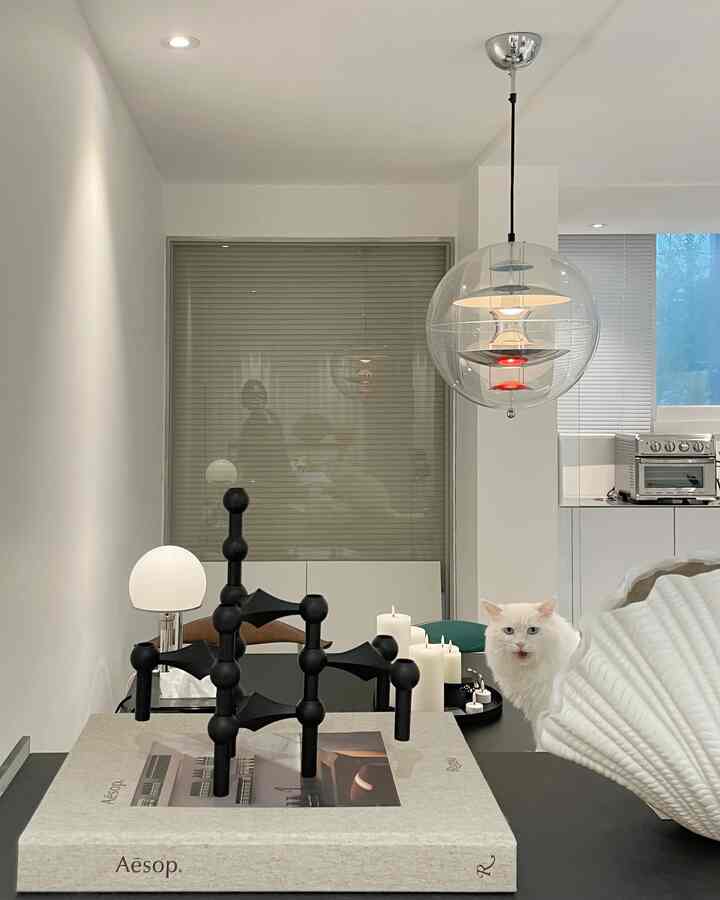 White and black toned living room with blinds on windows and mid-century modern decor elements in a cozy setting