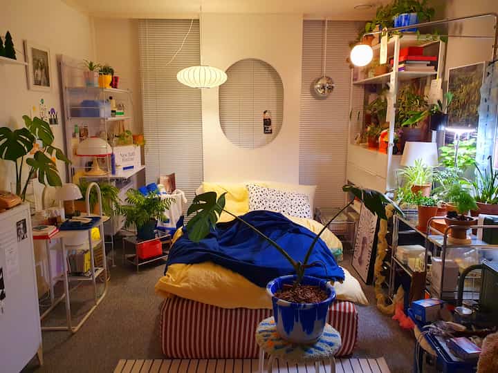 Warm yellow and blue tones in a studio bedroom with abundant plants creating a cozy atmosphere