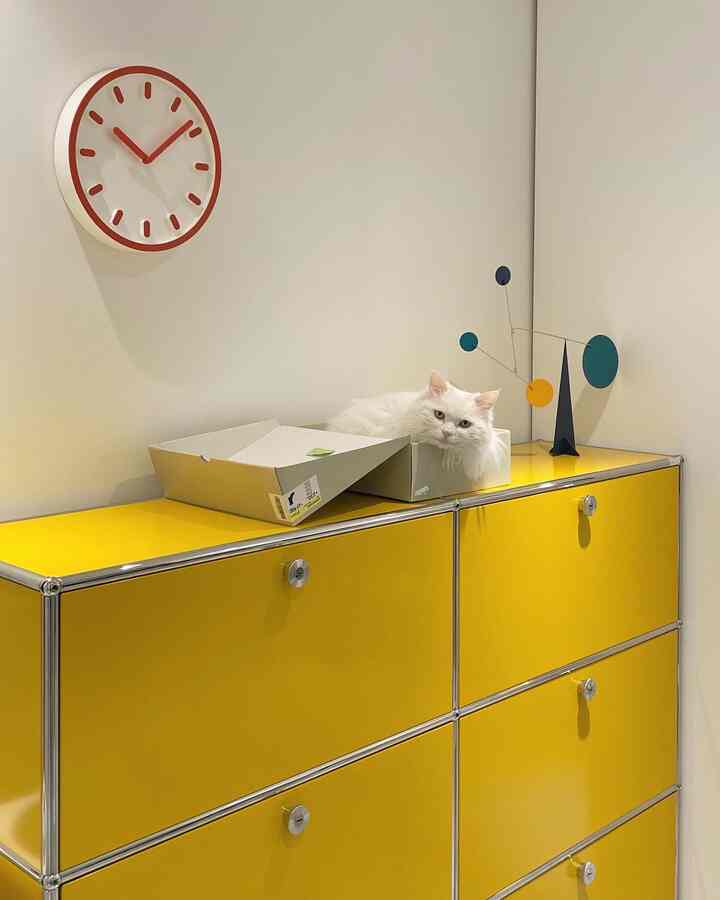Bright yellow cabinet with a white cat lying on top, featuring a red-rimmed clock and a mobile sculpture on a clean walk-in closet wall