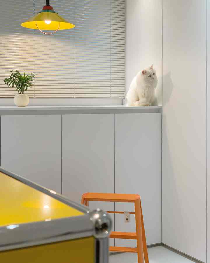 White and yellow toned walk-in closet featuring a white cat sitting atop built-in cabinets, an orange two-step ladder, and a yellow pendant light in a modern interior