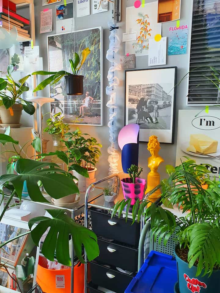 Natural-toned interior space dominated by green plants with multiple framed posters and art on the wall
