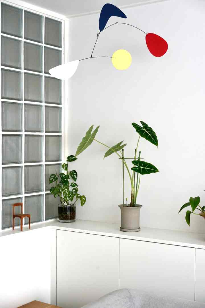 Today, I'm going to decorate the living room with potted plants.

I displayed all the built-in shelves in the living room with plants.

From left to right, I arranged them in the following order: Monstera adansonii, Alocasia friedeck, Skindapsus, and Asparagus nanus.