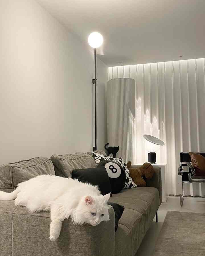 A white and gray toned living room featuring a comfortable sofa with a cat in a mid-century modern style