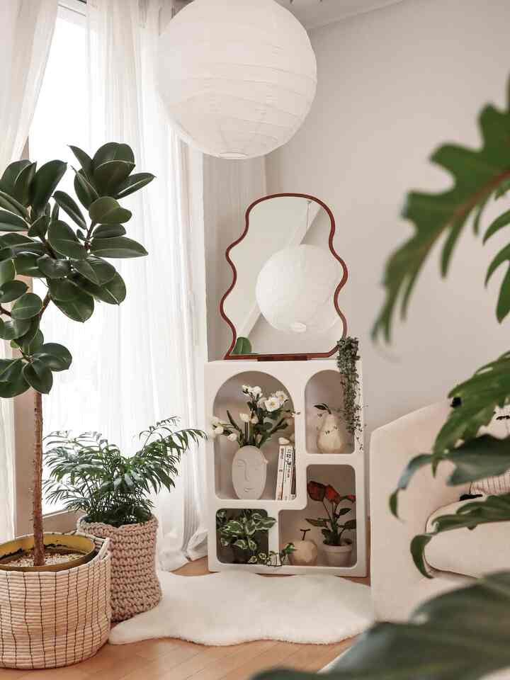 Warm natural tone living room featuring a wooden frame irregular mirror and diverse plants creating a cozy interior