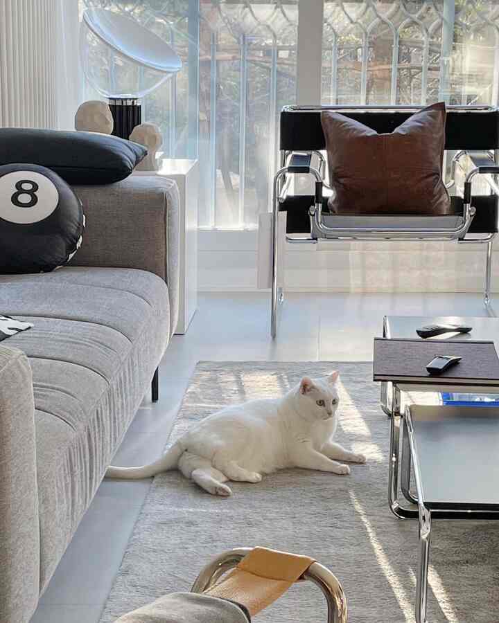 明るいホワイトとグレーのトーンのリビング、猫とミッドセンチュリーモダンのアームチェア、ソファが調和したモダンなインテリア