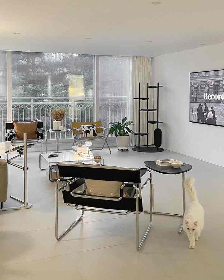 White and black-toned living room with Mid-Century Modern armchairs, a cat tower, and a cat walking in a tidy space
