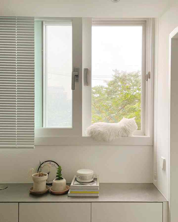 White-toned auxiliary kitchen space with a cat sitting on the window sill, creating a natural and calm atmosphere