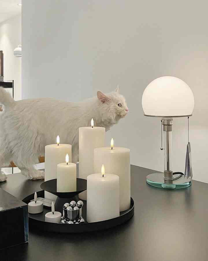 Bright beige and white toned kitchen space featuring LED candles, a table lamp, and a white cat creating a natural interior vibe