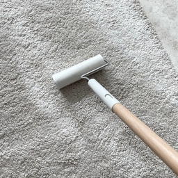 비염인 필독! 환절기 먼지 청소 이렇게만 해봐요🧹
