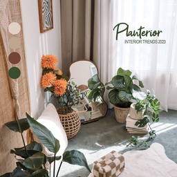 2023 인테리어 트랜드🌿 / 식물인테리어, 플랜테리어.
코로나 이후 집에 오랫동안 거주하고 건강에 대한 관심이 높아지면서 네추럴이 강조되고 친환경 인테리어 선호도가 늘어났어요.