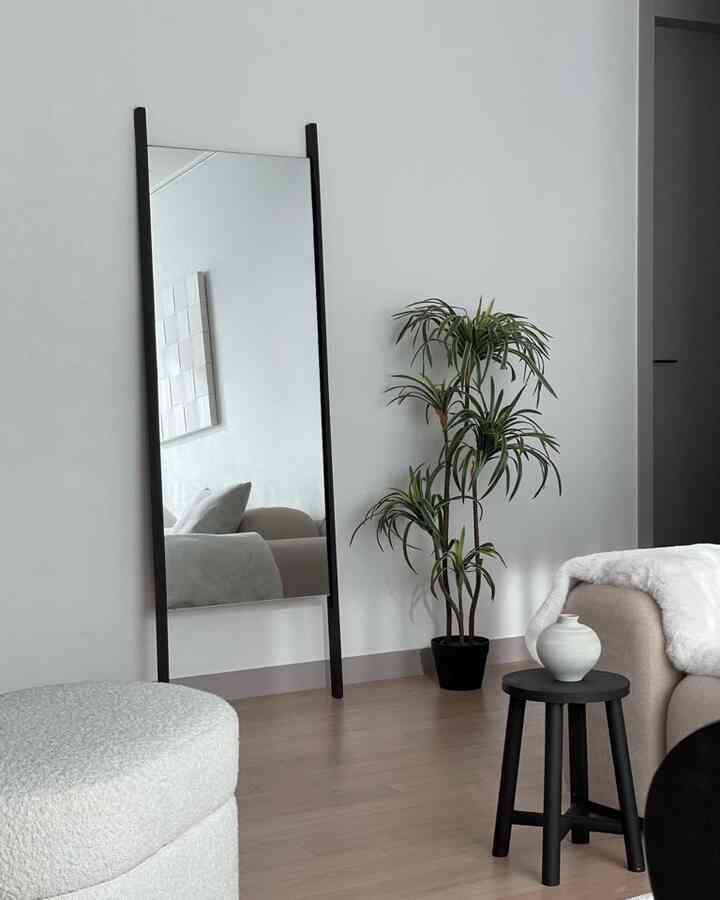 White and black toned living room featuring a full-length mirror and a plant, creating a simple and modern space