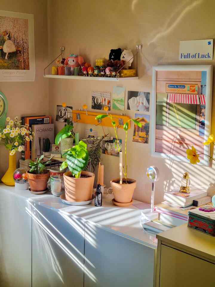 Cozy space with warm beige wallpaper background featuring white storage cabinets adorned with multiple potted plants and cute decorative items