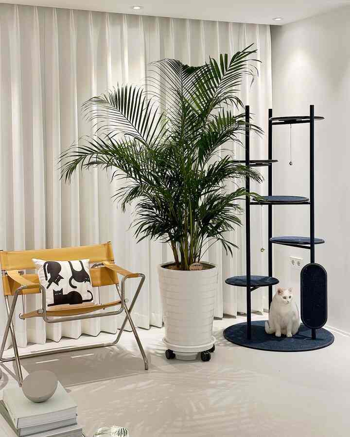 White-toned living room featuring Areca palm, yellow armchair, and cat tower creating a clean and natural atmosphere