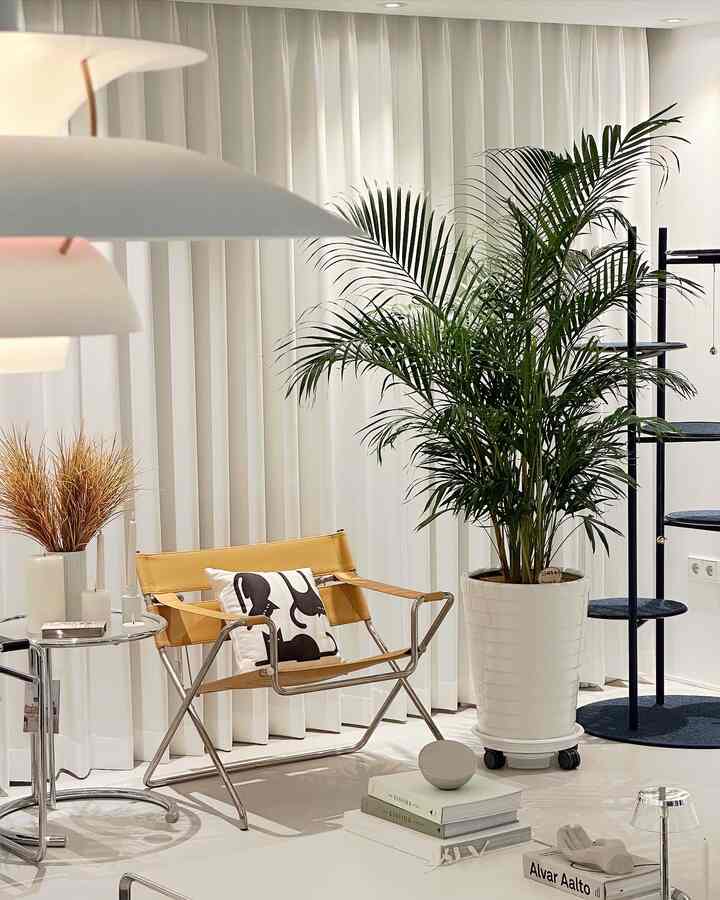 White-toned living room featuring a yellow leather chair, large areca palm, and black cat tower in a mid-century modern style
