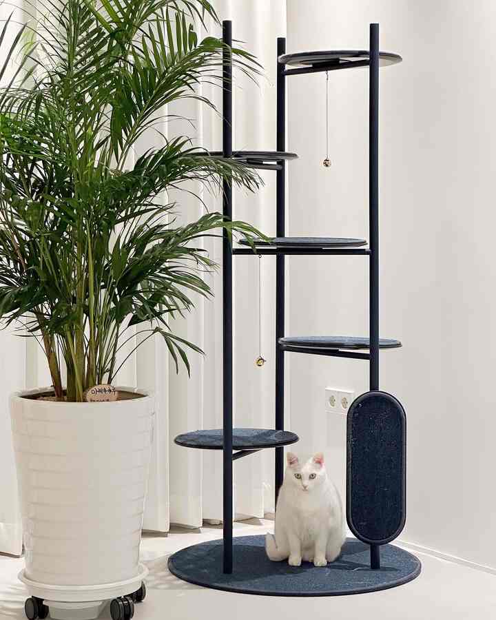 White and navy toned living room featuring a large green plant, modern cat tower, and a white cat sitting in a clean, natural space