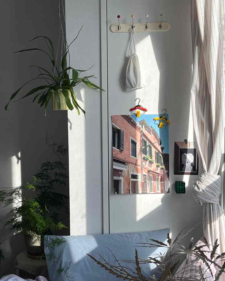 Cozy studio bedroom with bright white walls and curtains, green plants, and charming posters creating a natural atmosphere