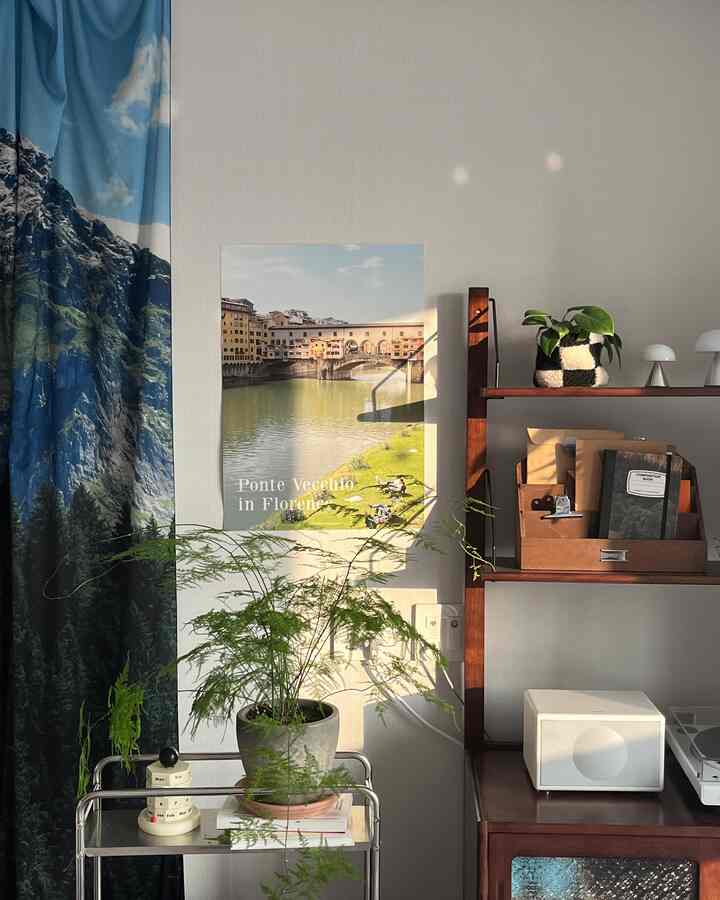 Bright and cozy studio bedroom with blue mountain-themed curtain, brown wooden shelf, and green plants