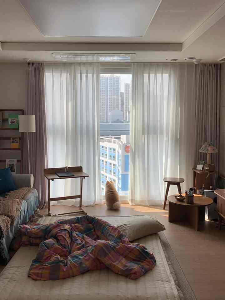 A cozy living room with white curtains and wood-tone furniture, featuring a dog sitting by the window creating a natural atmosphere