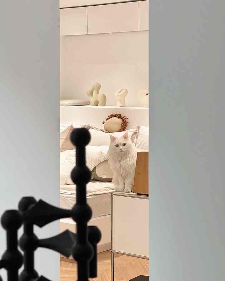 White-toned bedroom featuring a white cat and soft bedding in a harmonious mid-century modern style