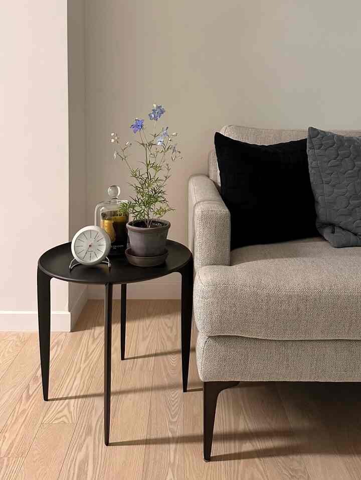 Beige and black toned living room featuring a beige sofa beside a black round side table with blue delphinium plant, creating a natural ambiance