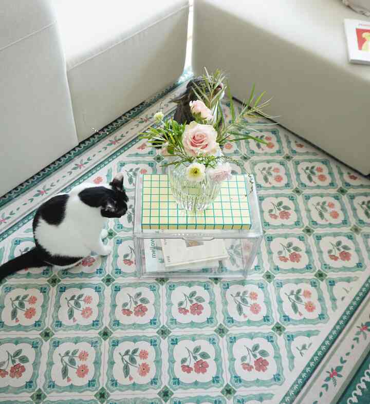 Vintage-toned living room featuring a transparent acrylic coffee table with a vase of flowers on a floral patterned rug, accompanied by two cats in a cozy setting
