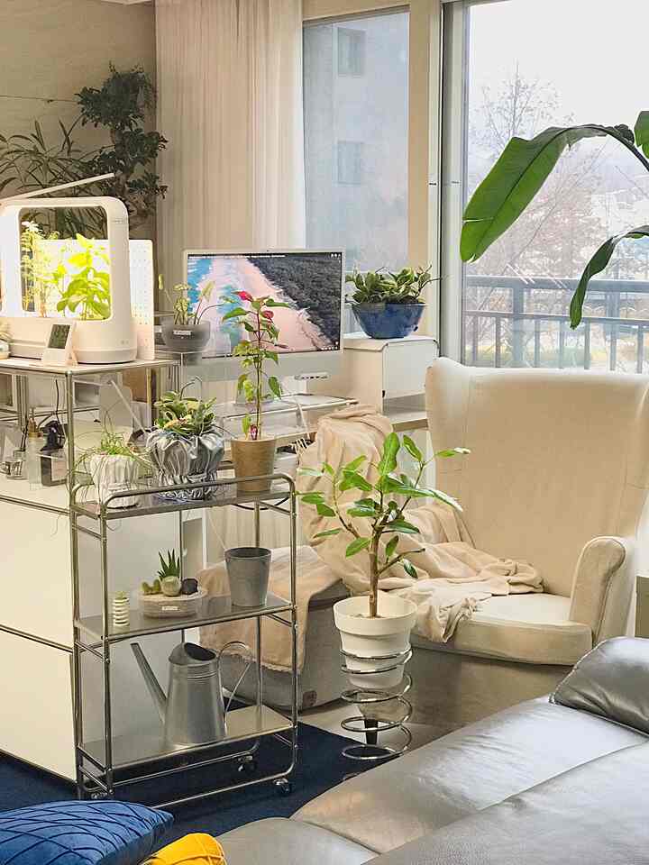 Tagged posts featuring Colorful Textured Planter 2