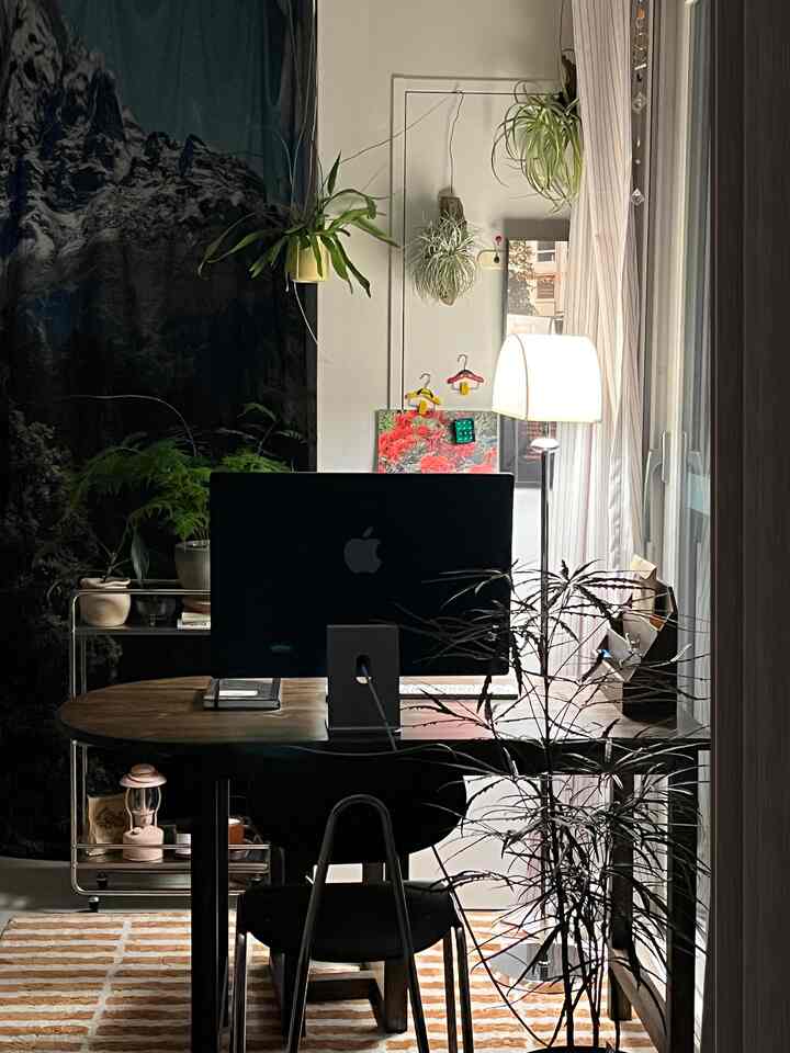 Natural tone studio apartment home office featuring a wooden desk and plants with a cozy atmosphere