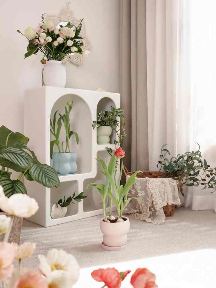How to keep tulip bulbs blooming for a long time🌿

• Tulip bulbs are vulnerable to overwatering, but they like water. Plant them in a well-ventilated pot and place them in a well-ventilated area.
• Sunlight accelerates the aging of flowers, causing them to wither quickly. It is better to place them in a place where direct sunlight does not shine.
• If you place them in a cool place, you can see the flowers for much longer. I recommend placing them on the veranda rather than indoors.
• If you let the soil dry for too long after the flowers bloom, the flowers will wither quickly. Water them as soon as the surface soil dries.

The pretty pastel-colored flower pots like to dry out, so the plants grow well without overwatering. I watered them several times, but the soil water did not soak into the flower pot, so they maintained their pastel white color.

They come in a variety of colors and designs, and they even come with a stand, so they are easy to use. I recommend them to anyone looking for a pretty flower pot.ෆ ෆ ෆ