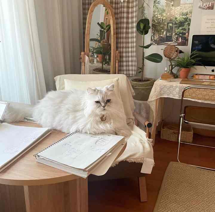 Beige and wood-tone home office space featuring a white cat on the desk chair and indoor plants creating a natural atmosphere