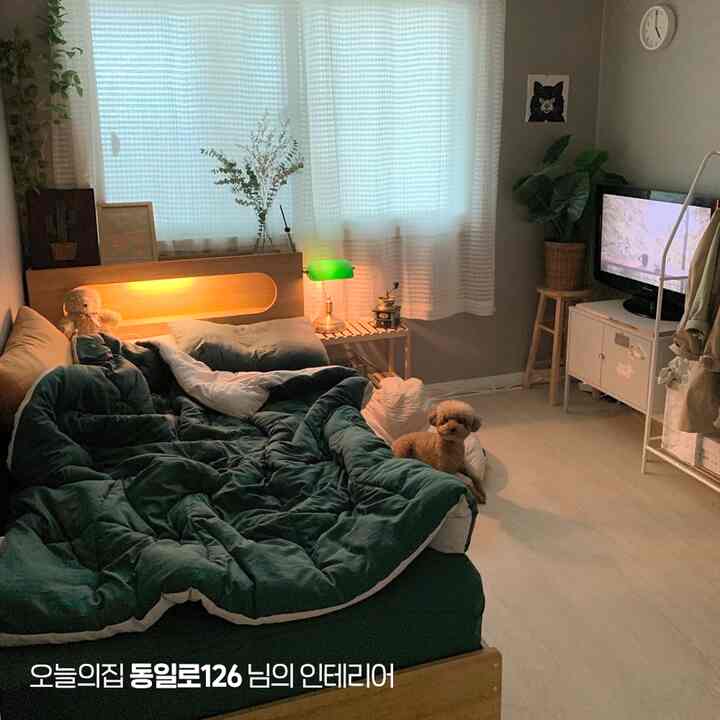 ナチュラルなグリーントーンの小さな寝室、ベッドにいる犬と木製家具、植物が配置された雰囲気のある空間