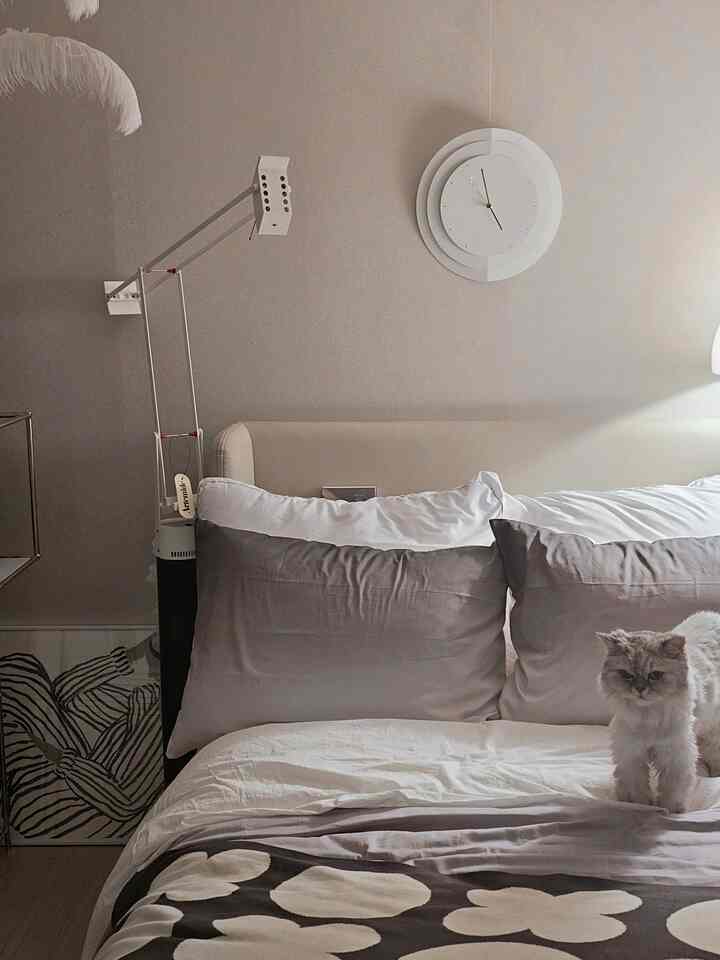 Beige and gray monotone bedroom featuring a bed with white and gray pillows, and a cat standing on the bed