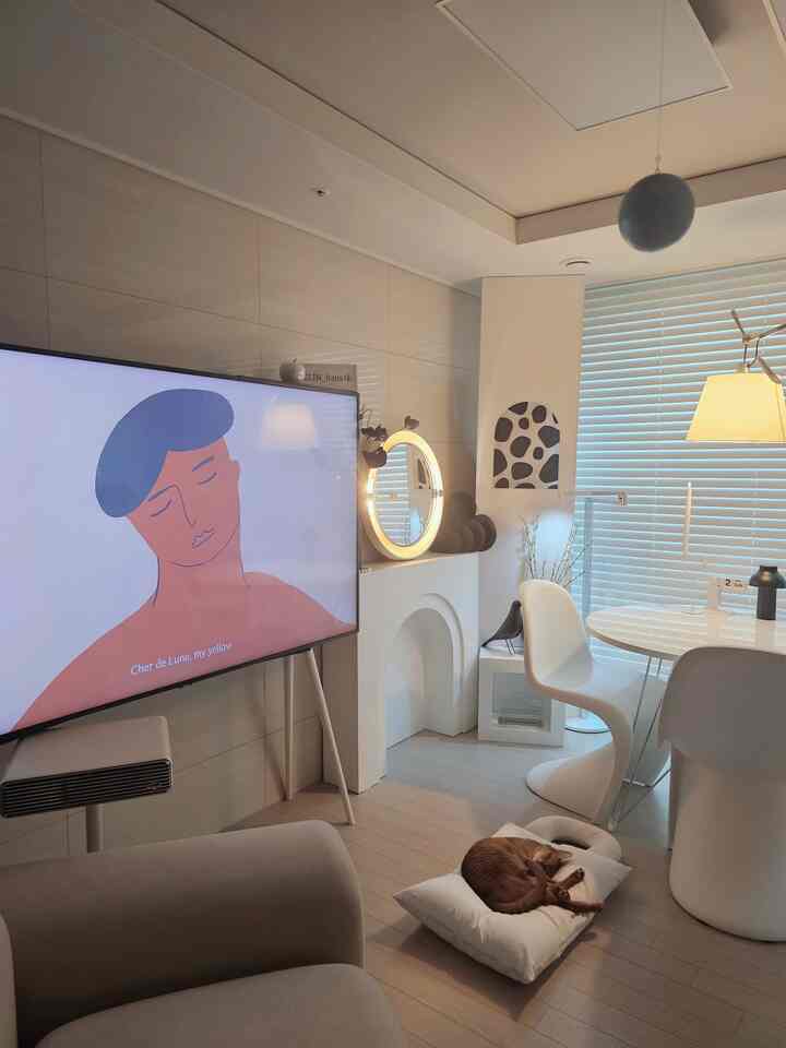 White and gray toned living room featuring modern furniture and a cat resting on a pet bed, creating a cozy atmosphere
