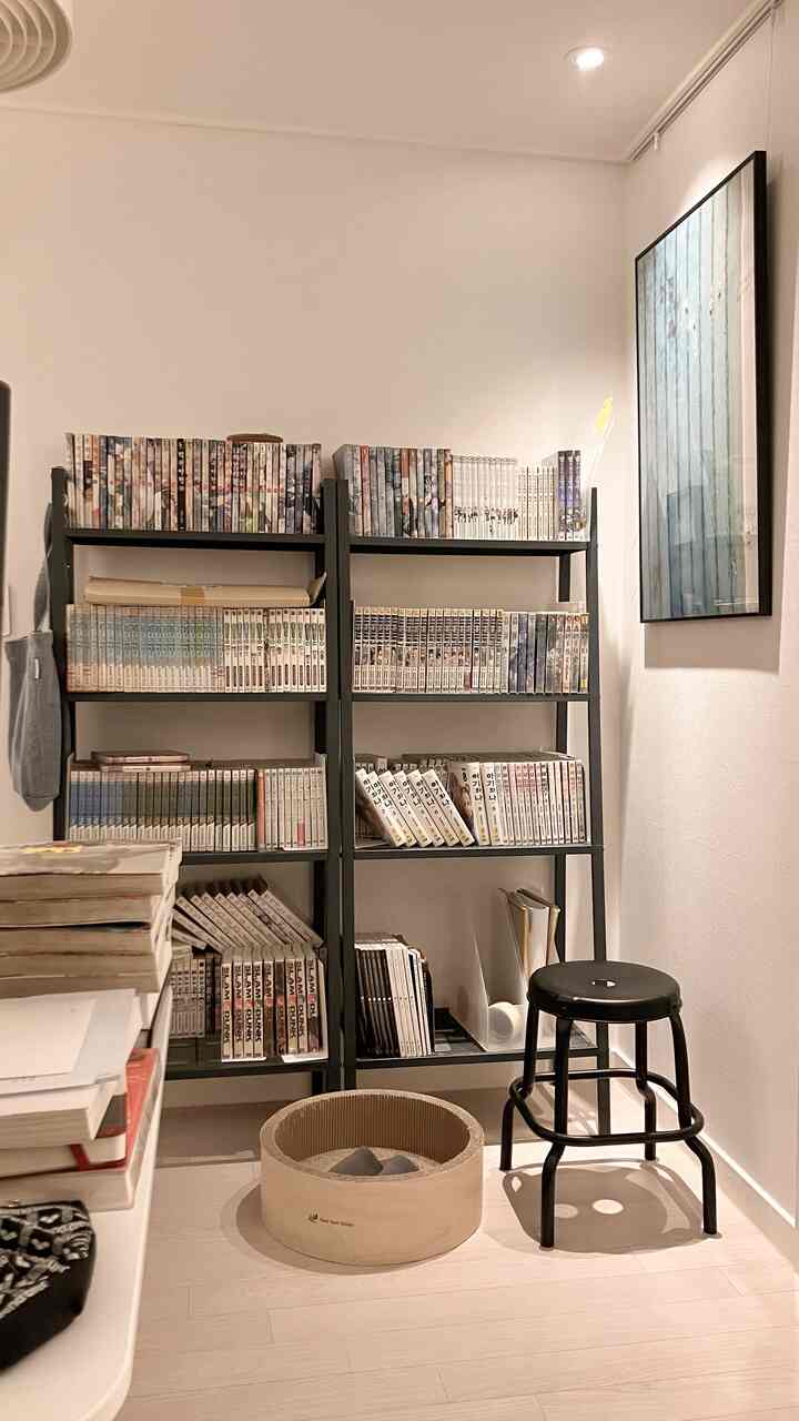 Bright modern reading space featuring a black metal bookshelf at center-right and a round cat scratcher on the floor, conveying a tidy interior