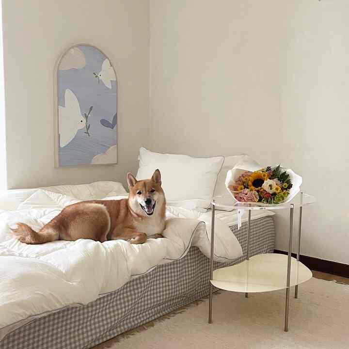 ホワイトとグレーのトーンが調和した寝室、中央に犬が寝そべるベッドと透明なサイドテーブルの上の花束が配置された、落ち着いた印象のインテリア