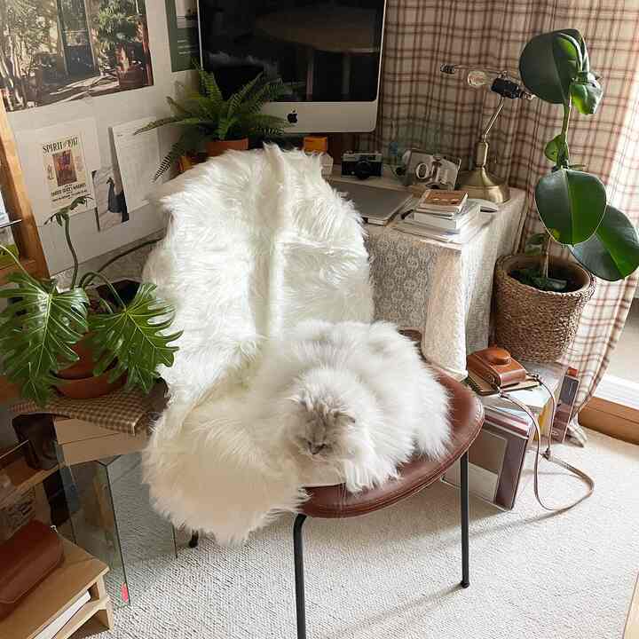 White and brown toned home office featuring a chair with a fluffy cat and rug, creating a cozy atmosphere.