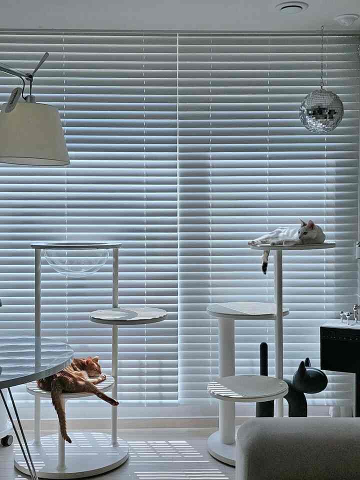 White and silver toned living room featuring two cats resting comfortably on cat towers in a tranquil space
