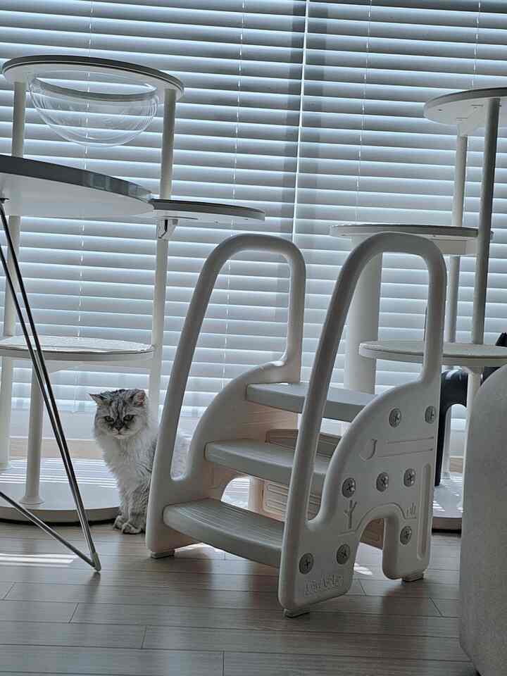 White and wood tone living room featuring cat and pet furniture with a natural atmosphere