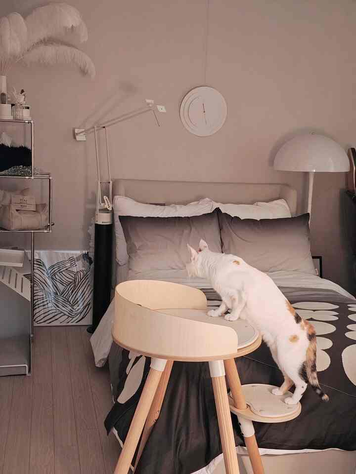 ナチュラルな木目調とホワイトの寝室、キャットタワーとペットステップが配置された温かみのある猫のための空間